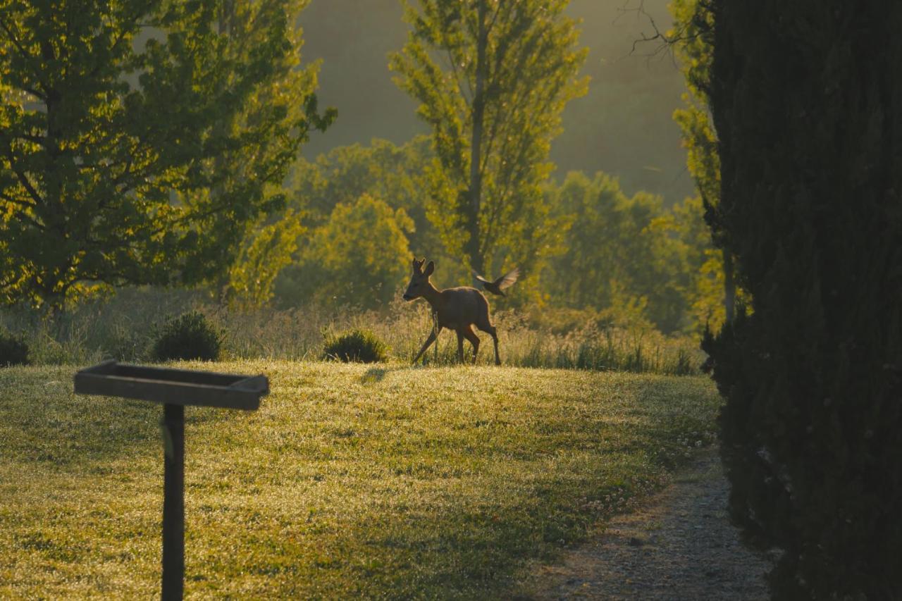 Chambres D'Hotes Secret Pyrenees Lasseube Zewnętrze zdjęcie