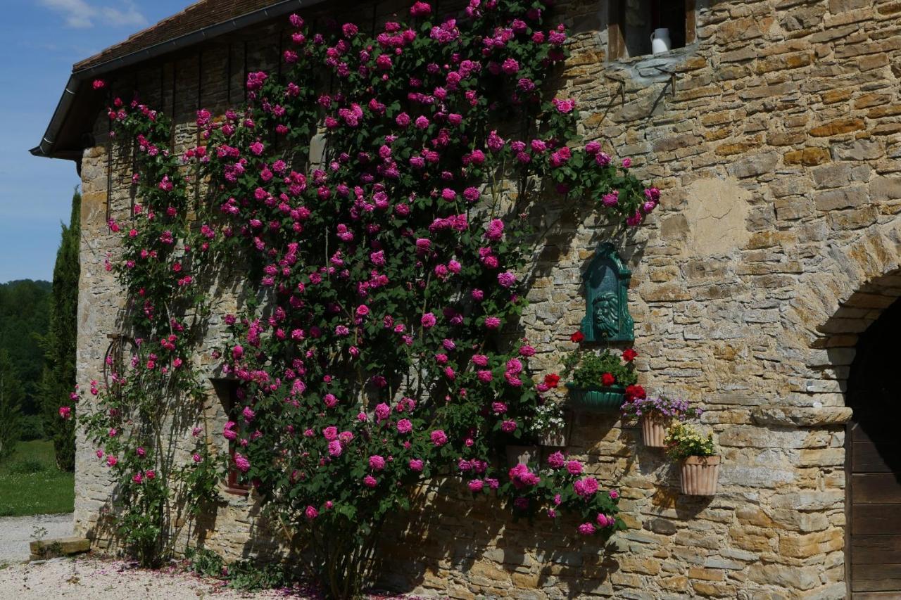 Chambres D'Hotes Secret Pyrenees Lasseube Zewnętrze zdjęcie